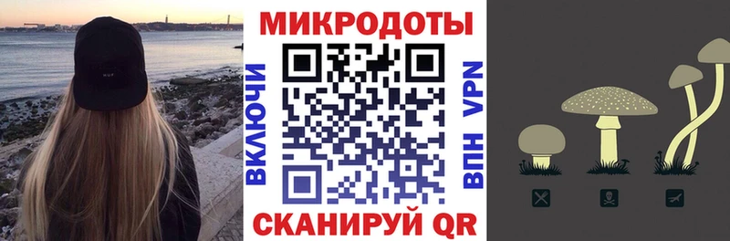 что такое Змеиногорск Псилоцибиновые грибы прущие грибы